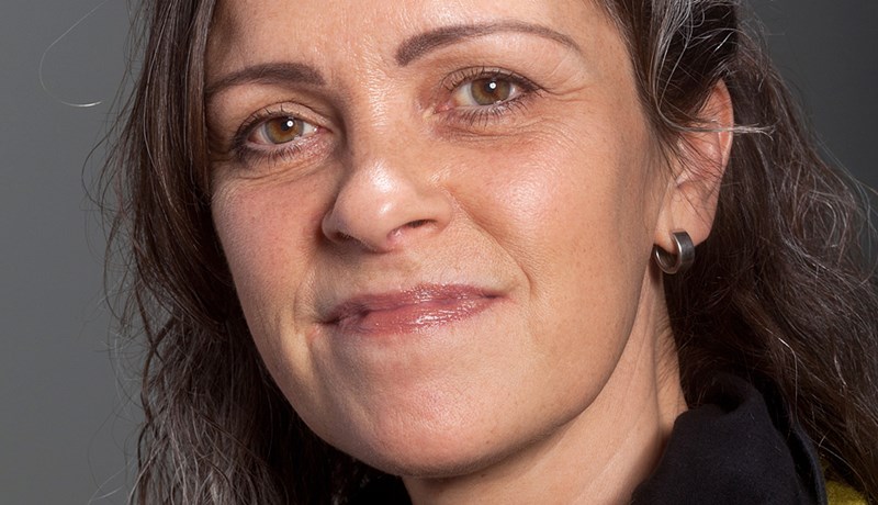 Töluverðar líkur á að nýtt afbrigði fuglaflensu berist til Íslands