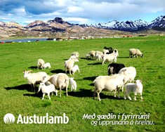 Austurlamb á undan sinni samtíð
