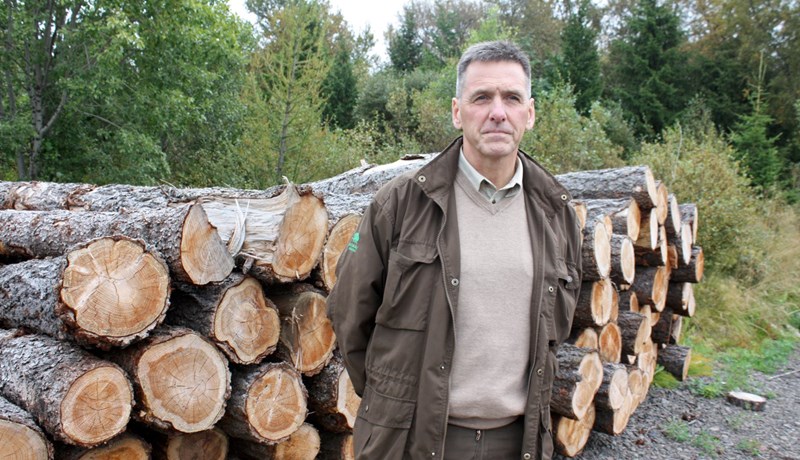 Verkefni í skógrækt hafa skapað atvinnu og verið lyftistöng á Héraði