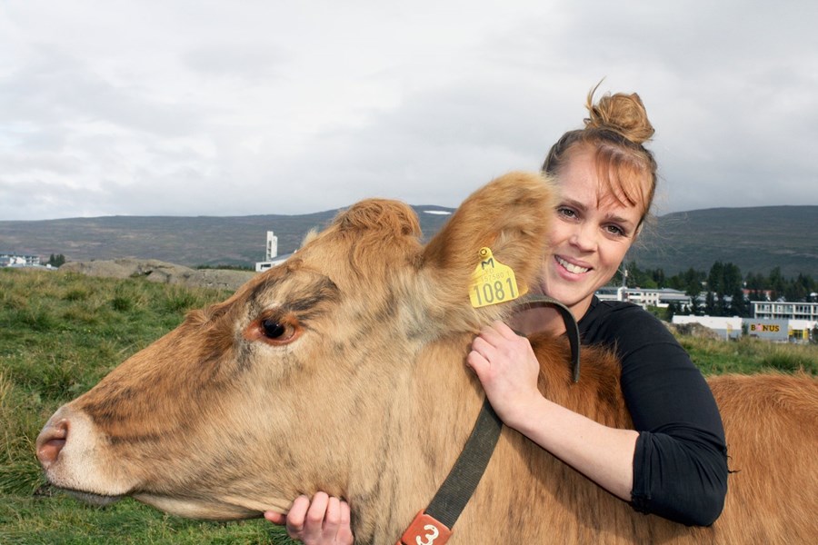 Herdís Magna Gunnarsdóttir formaður Landssambands kúabænda