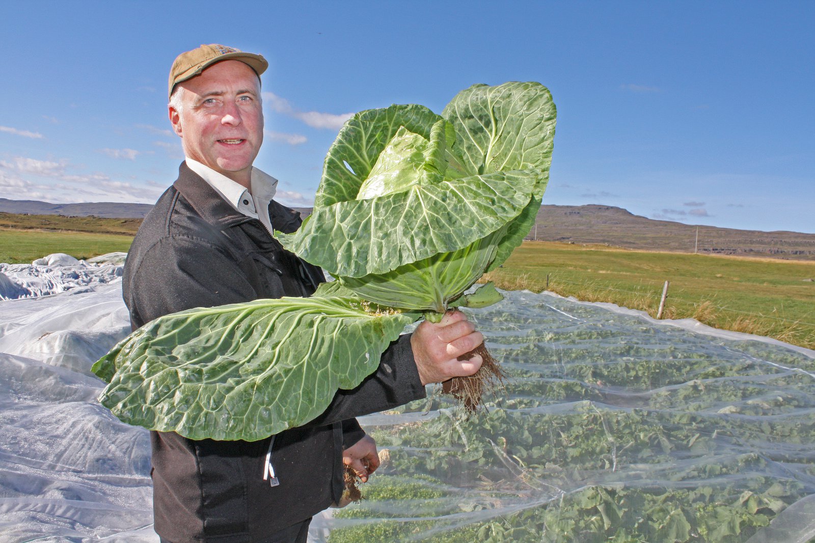 Stefnir í mjög góða uppskeru eftir gott sumar