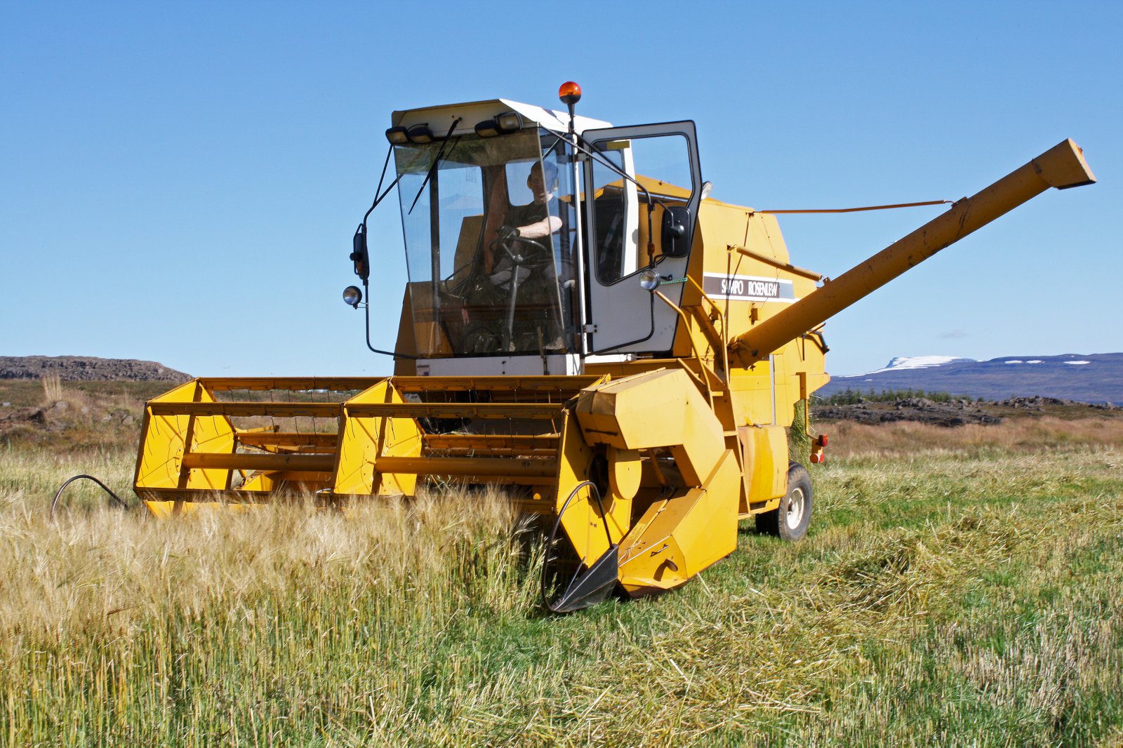 Góð kornuppskera á Austurlandi