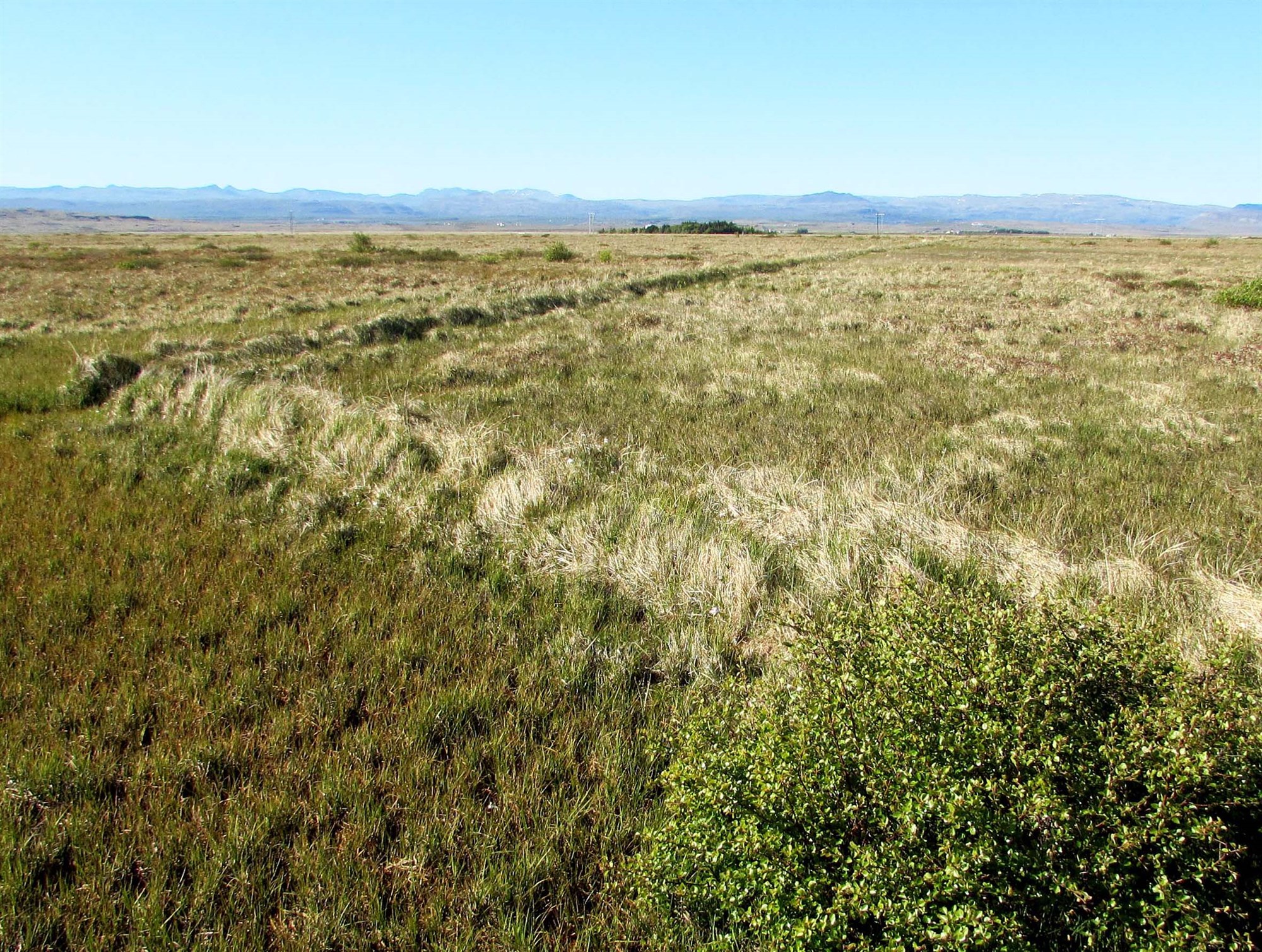 Áveitur – þakkir til heimildarmanna