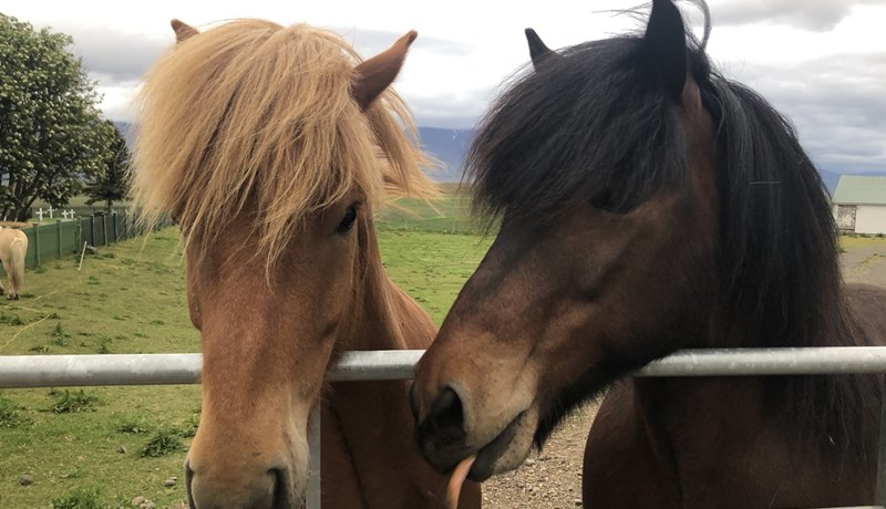 Erfitt að sætta ólík sjónarmið