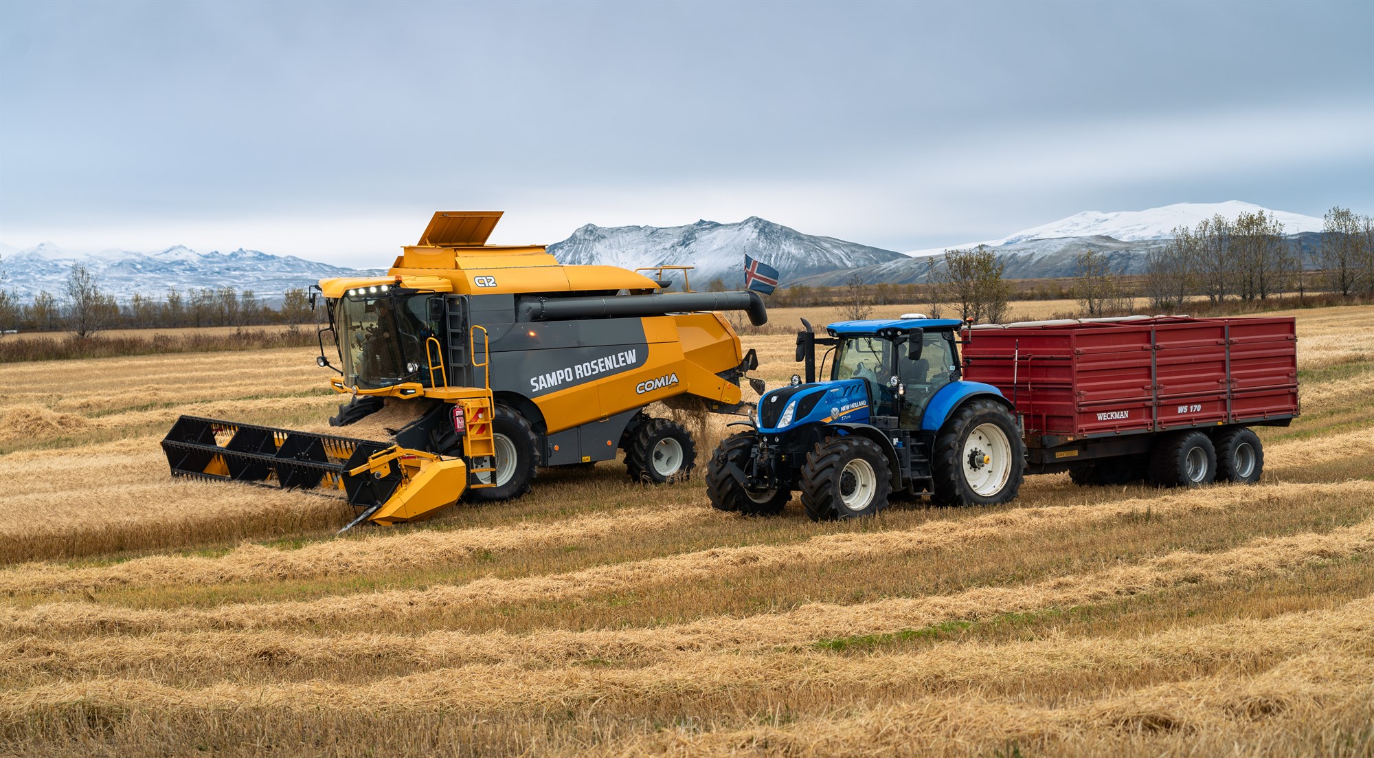 Verður milliliður milli ræktenda og kornstöðva