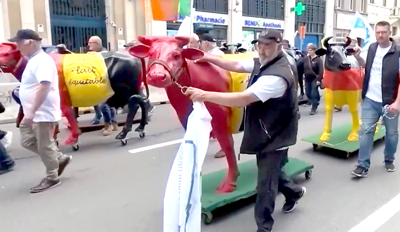 Bændur í mjólkurframleiðslu mótmæltu í Brussel fyrir skömmu og fóru um stræti með gervikýr á hjólum.