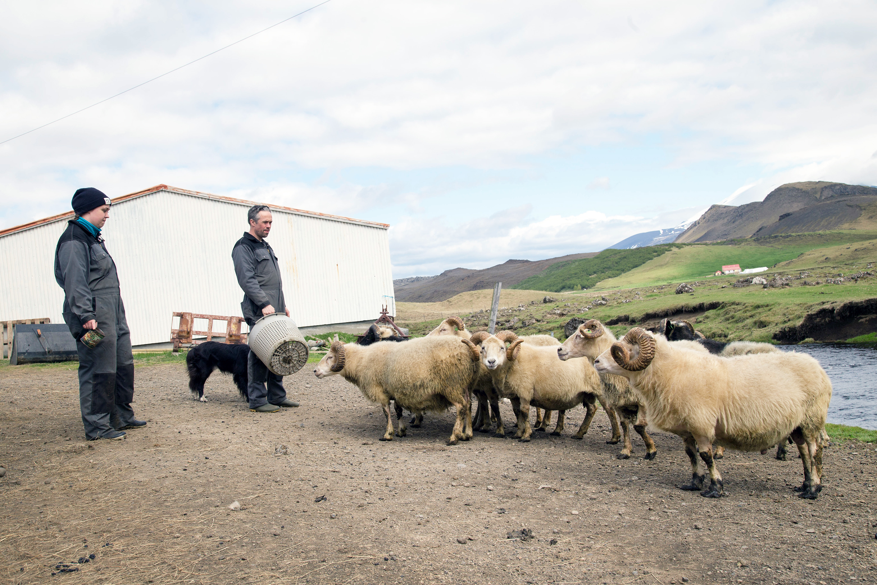 Skáld á tímatali bóndans