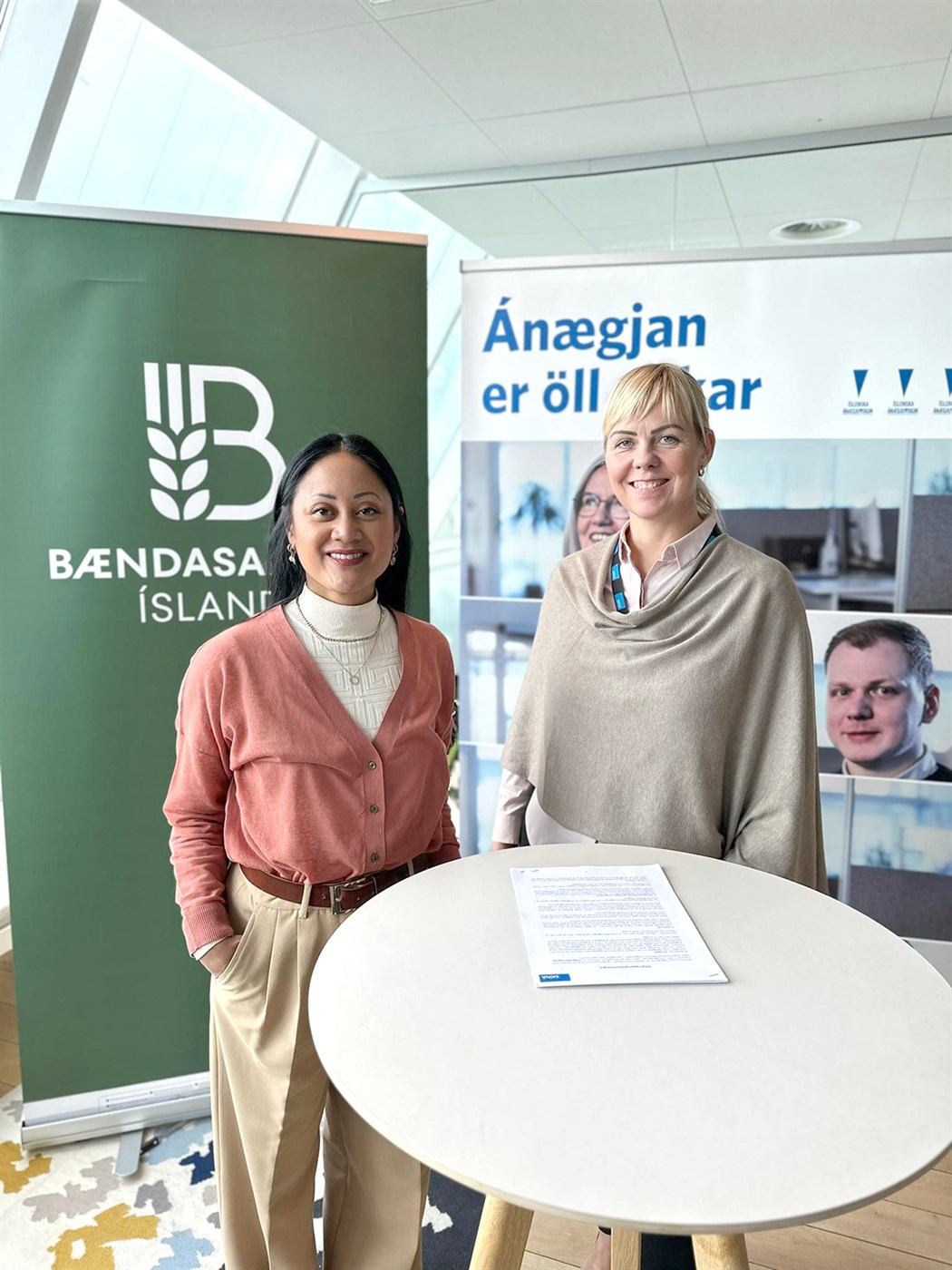 Nánar um nýja tryggingu bænda