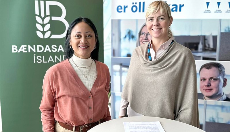 Nánar um nýja tryggingu bænda