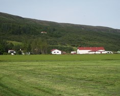 Ásólfsstaðir 1