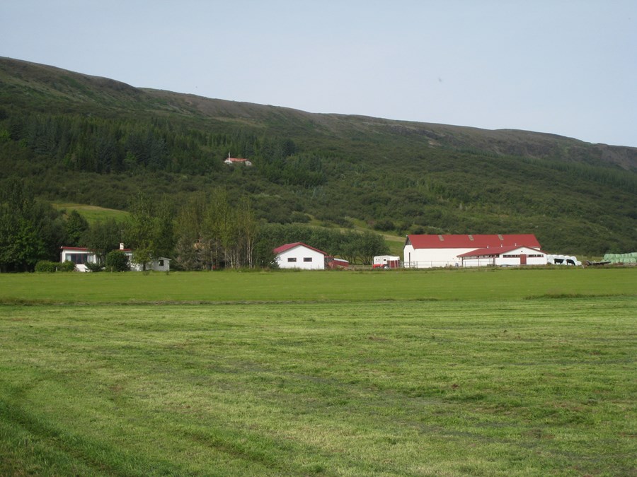 Ásólfsstaðir 1