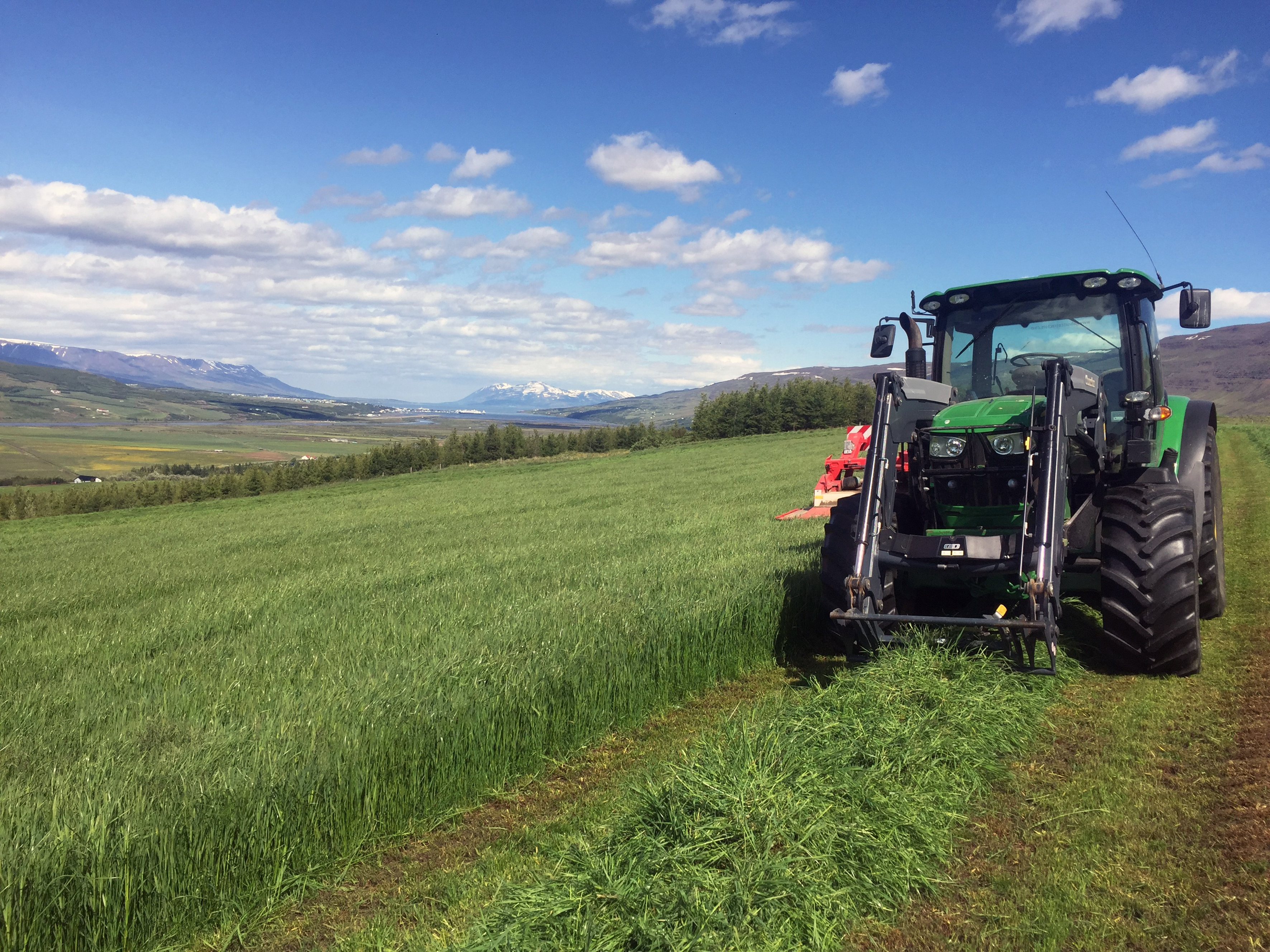 Ekki ástæða til að fyllast svartsýni þótt víða hafi verið orðið þurrt