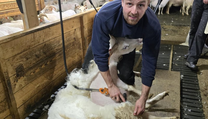 Haustrúningur í fullum gangi