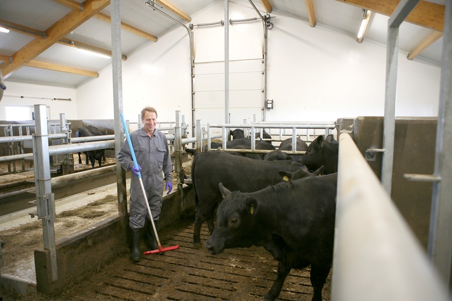 Baldur bústjóri við gegningar.