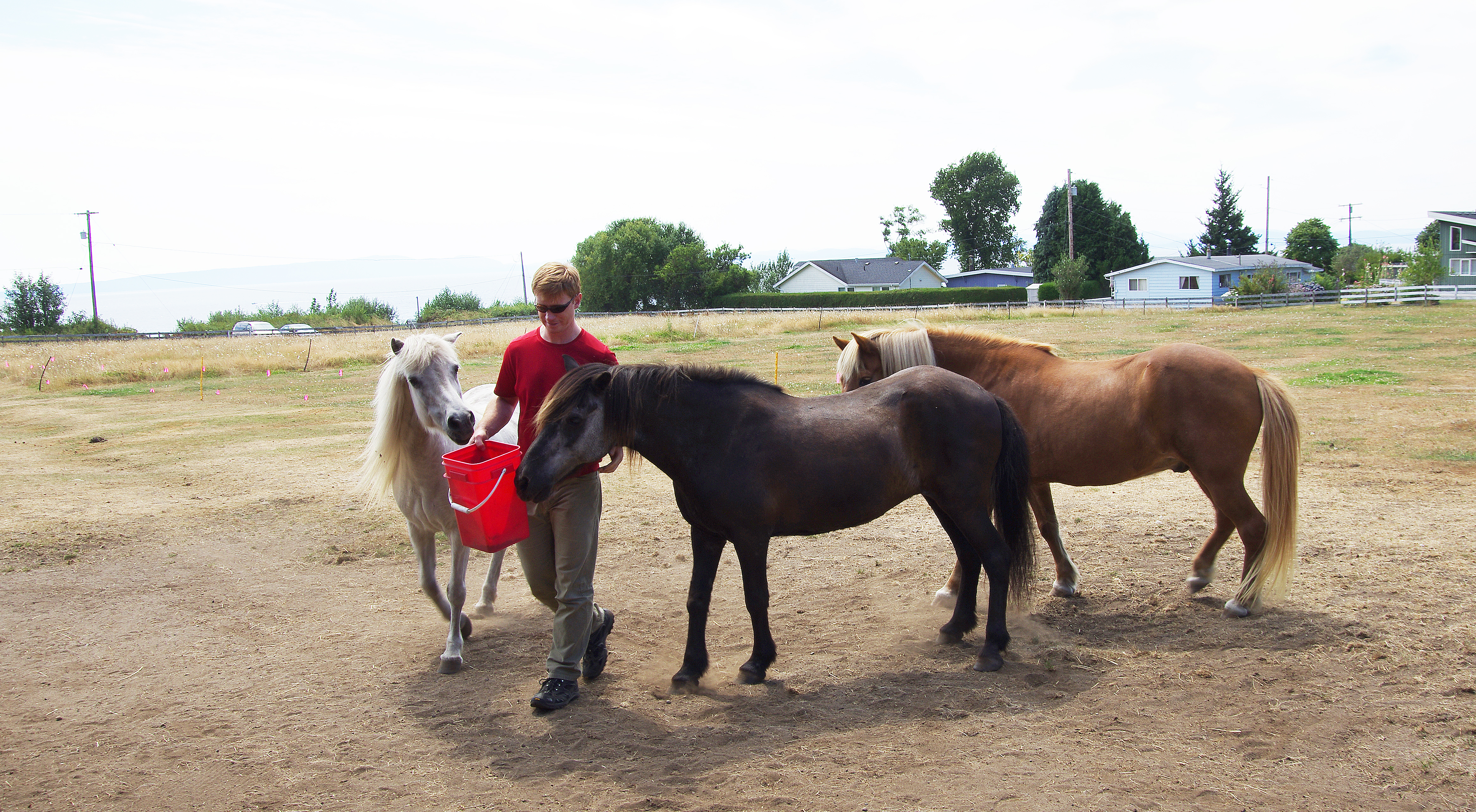 Þróun bóluefnis á lokametrunum