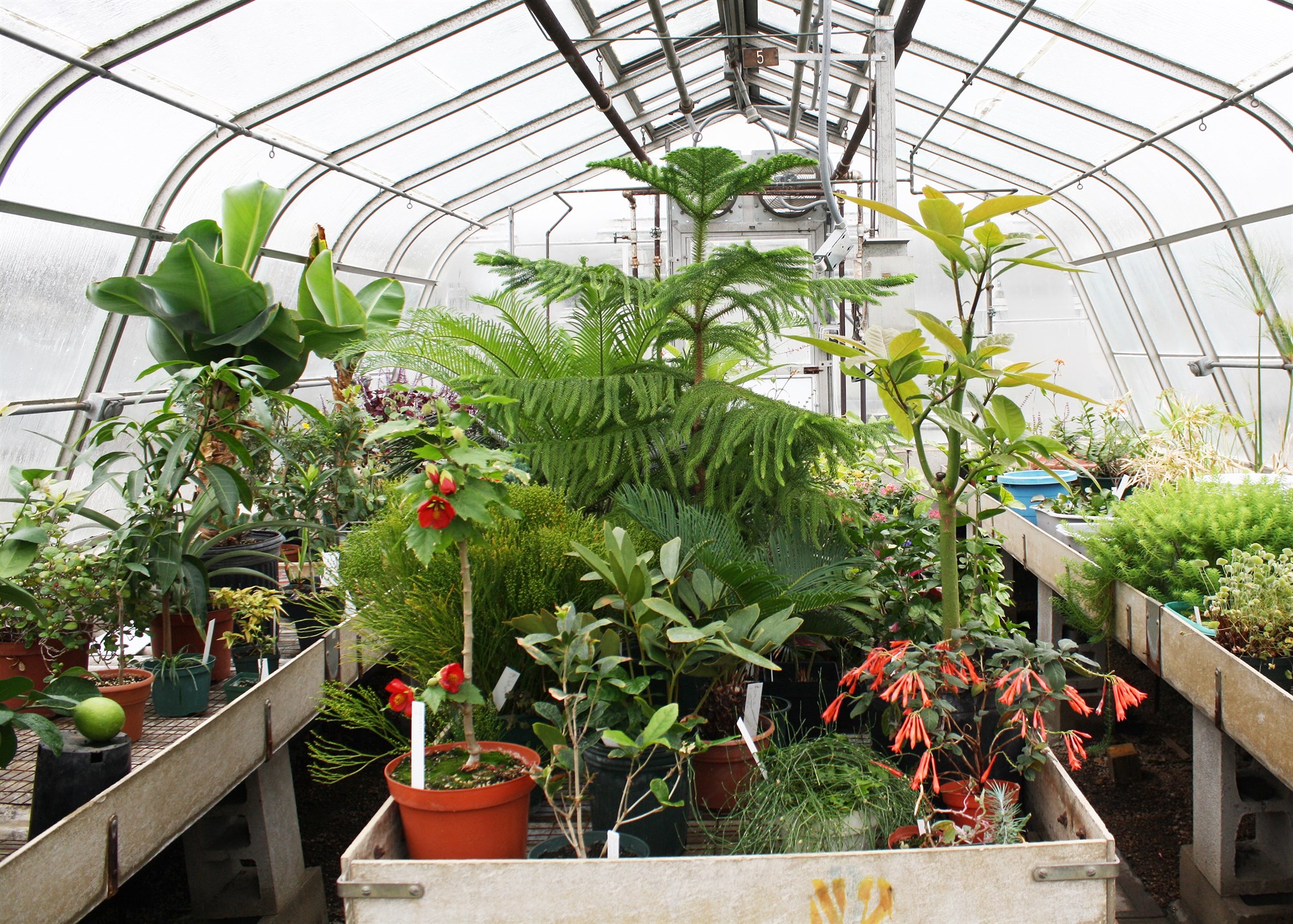 Úr sarpi Bændablaðsins: Allt iðandi af lífi