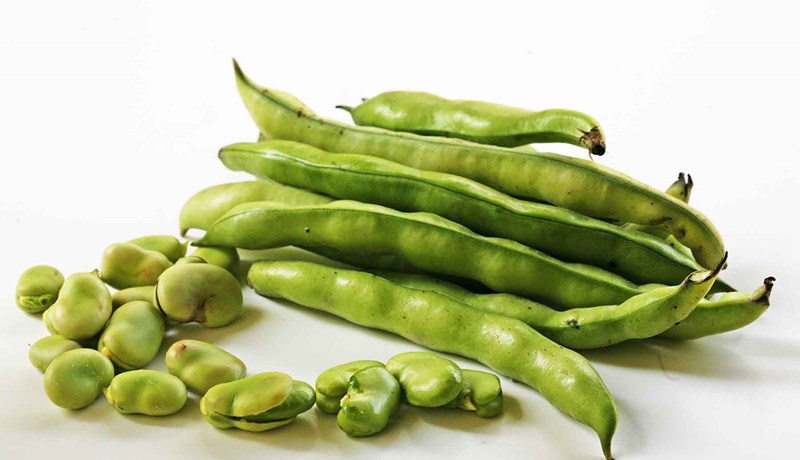 Baunir hristar í skjóðu