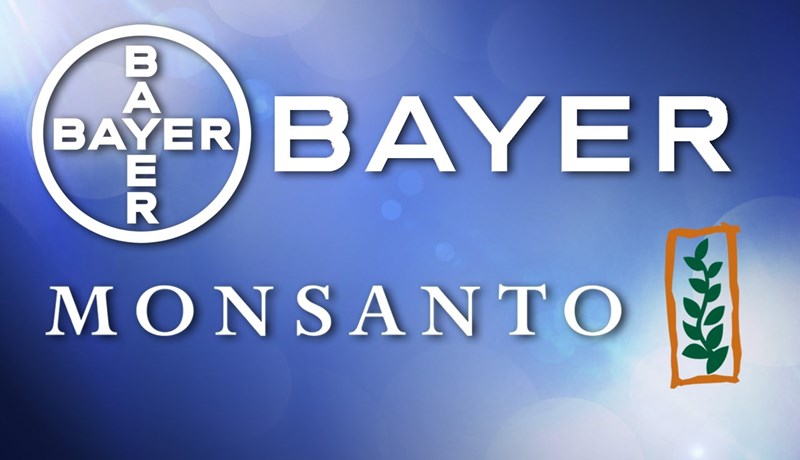 Bayer kaupir Monsanto