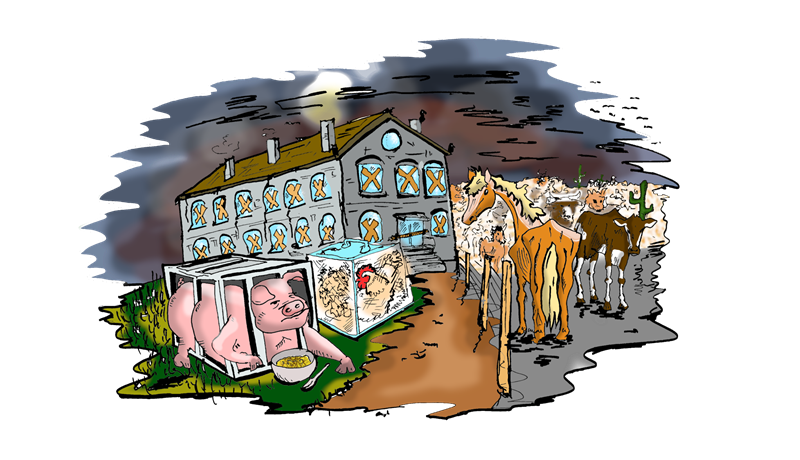 Tekist á um hvar málefni dýravelferðar eigi að liggja