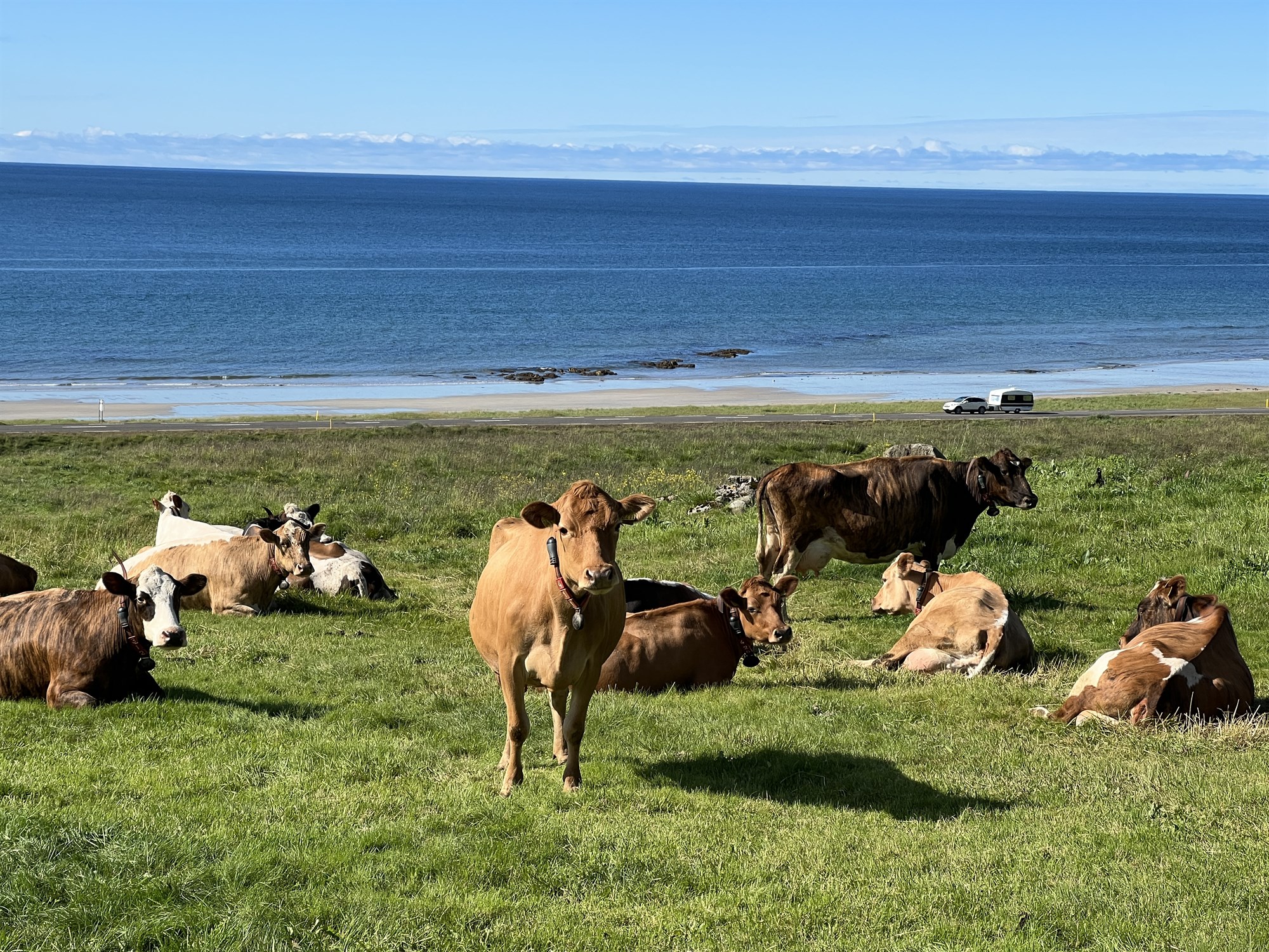 Vinna að hagsmunum allrar virðiskeðjunnar