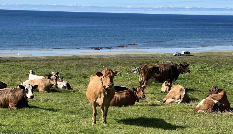 Vinna að hagsmunum allrar virðiskeðjunnar
