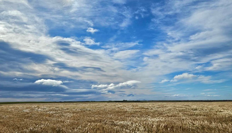 Fjárstuðningur skilar árangri í kornrækt