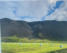 Aukabúnaðarþing ályktar gegn ESB-aðild