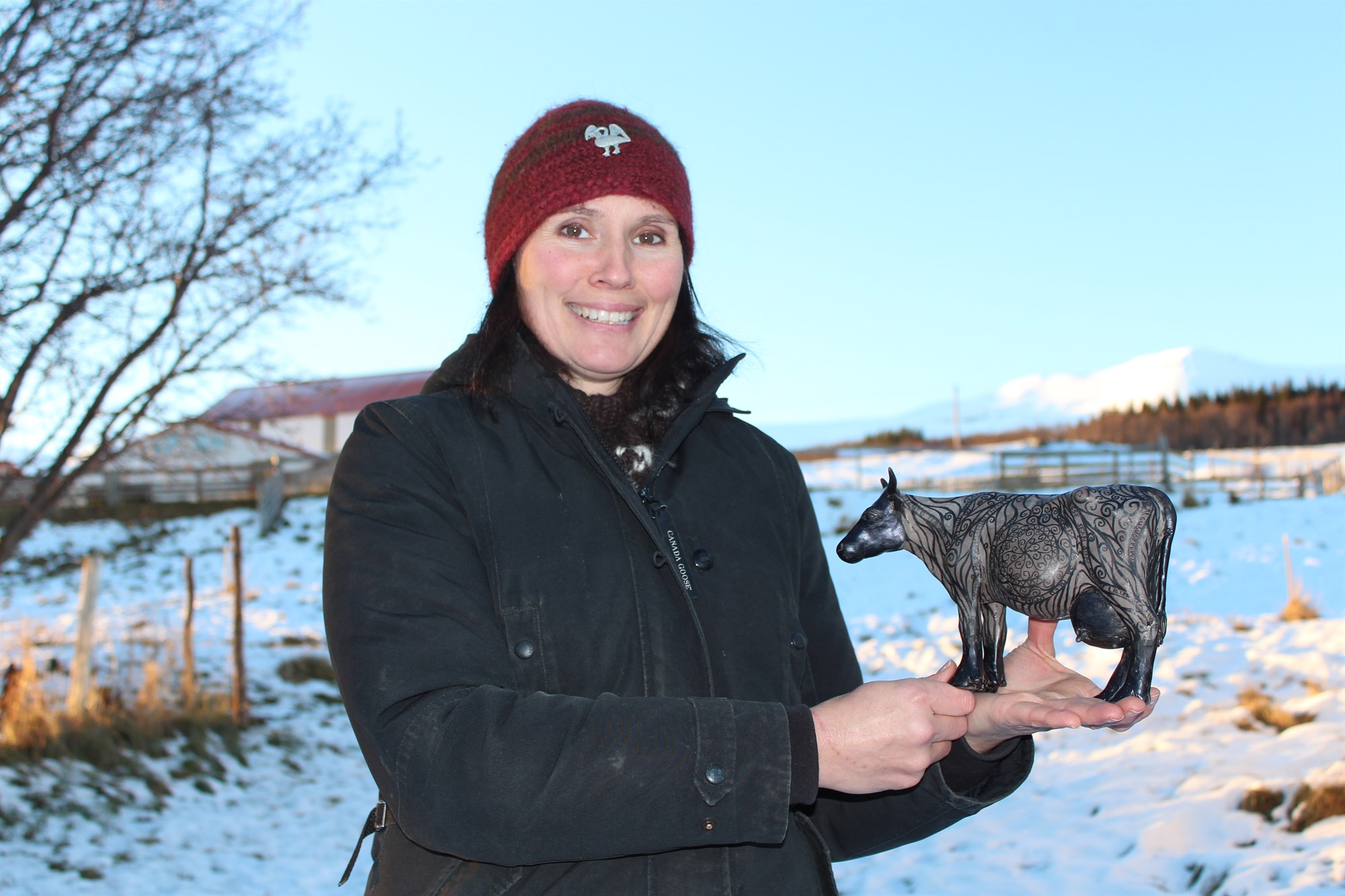 Smíði að hefjast á risakúnni Eddu í Eyjafjarðarsveit