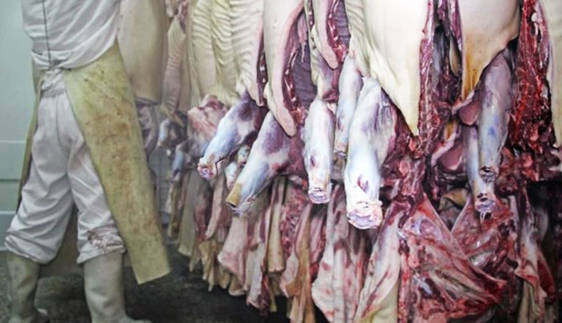 Ótti við að kjöt af sýktum og sjálfdauðum skepnum hafi verið selt til manneldis
