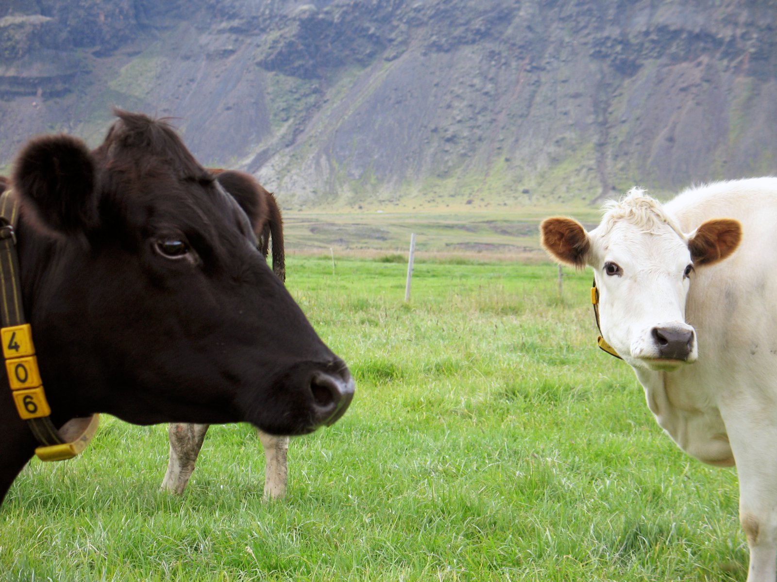 Beit er list – skipulag