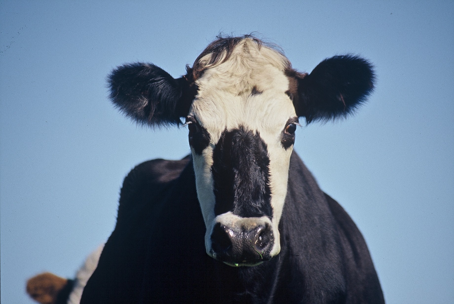Borgaralaun fyrir bændur