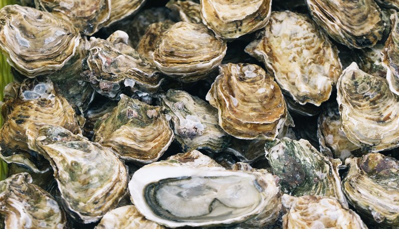 Eignarréttur skapar skynsamlega hvata