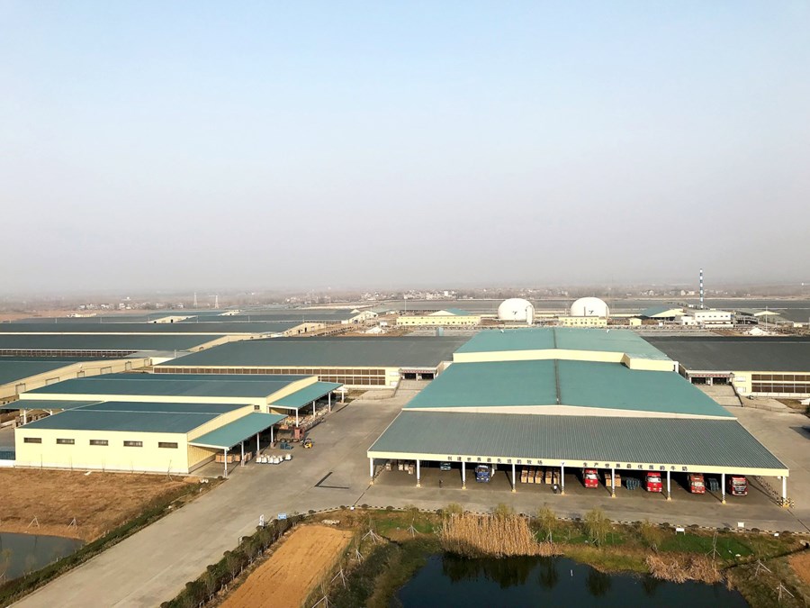 China Modern Dairy er með 125 þúsund mjólkurkýr alls og er eitt af allra stærstu mjólkurframleiðendum í heimi. Í forgrunni sést afurðavinnslan, þar fyrir aftan er „mjólkurhúsið“. Hvort sínum megin við mjólkurhúsið er mjaltaaðstaðan og í hvorri byggingu er