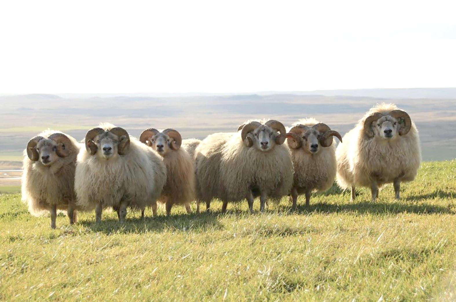 Vantar hvata til að halda áfram