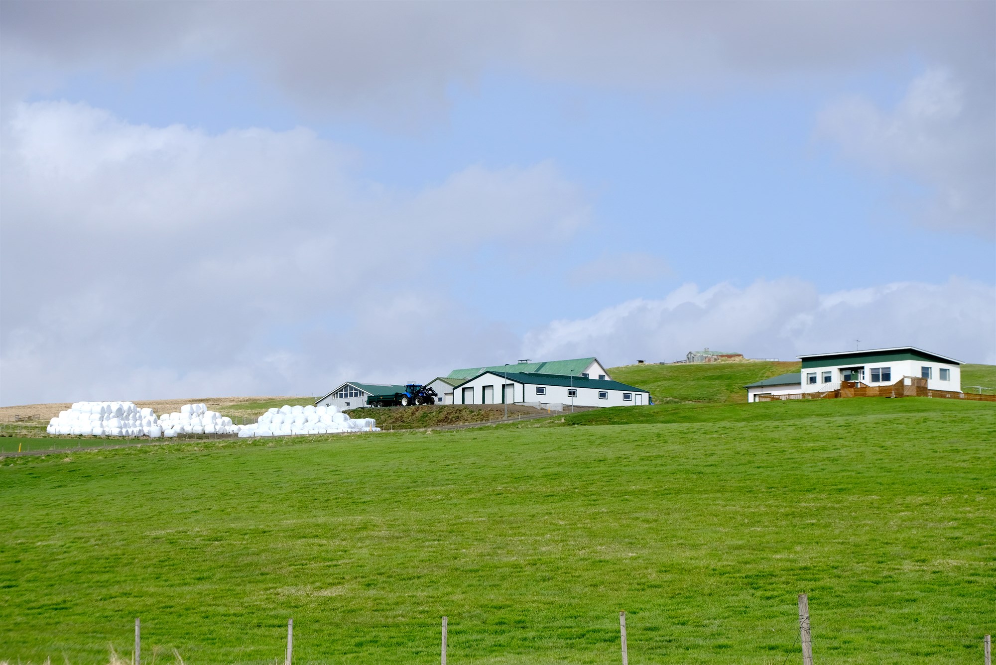 Eftirmál riðuveiki