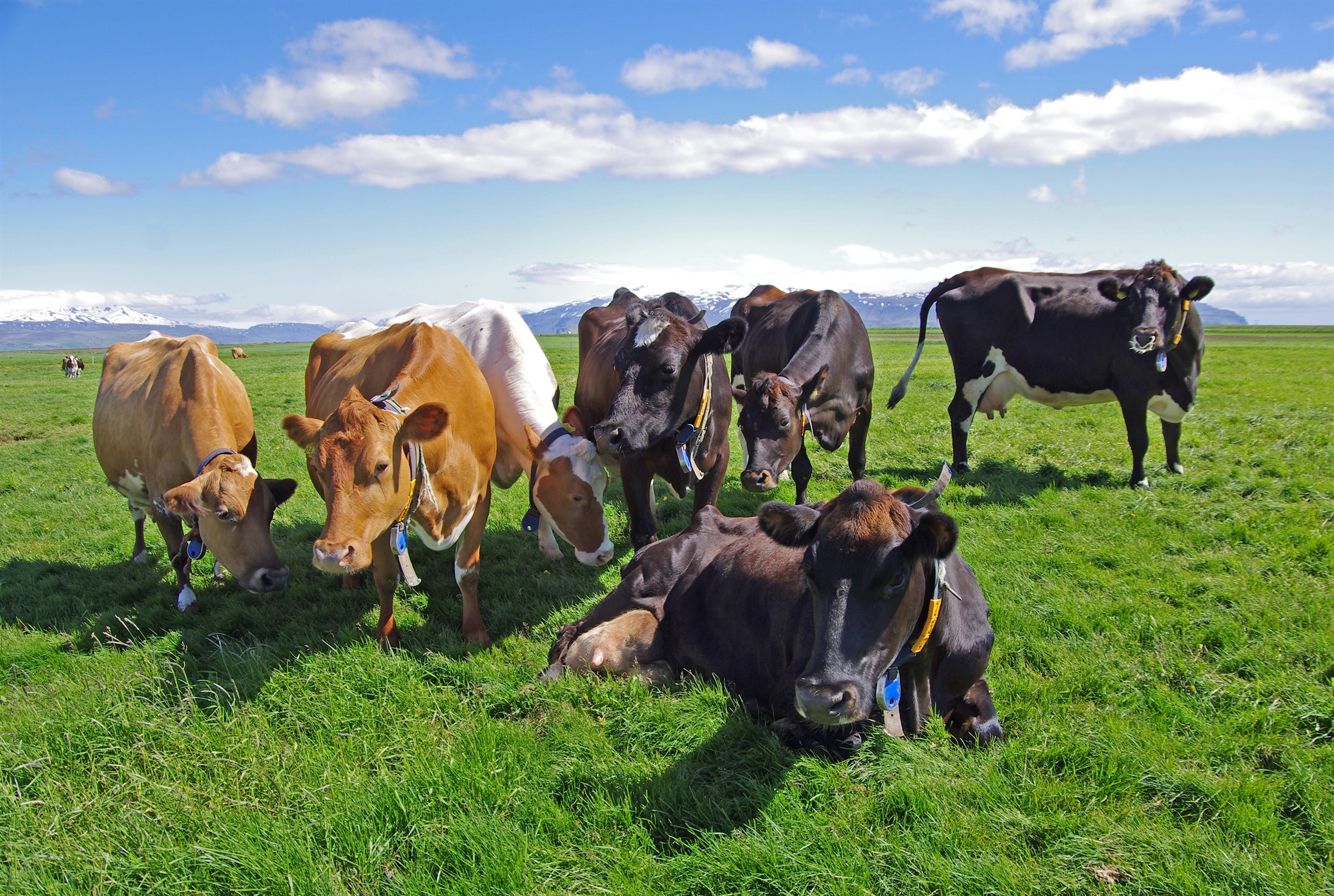 Með bjartsýni í farteskinu