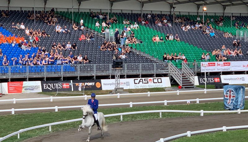 Íslendingar efstir í fjórgangi