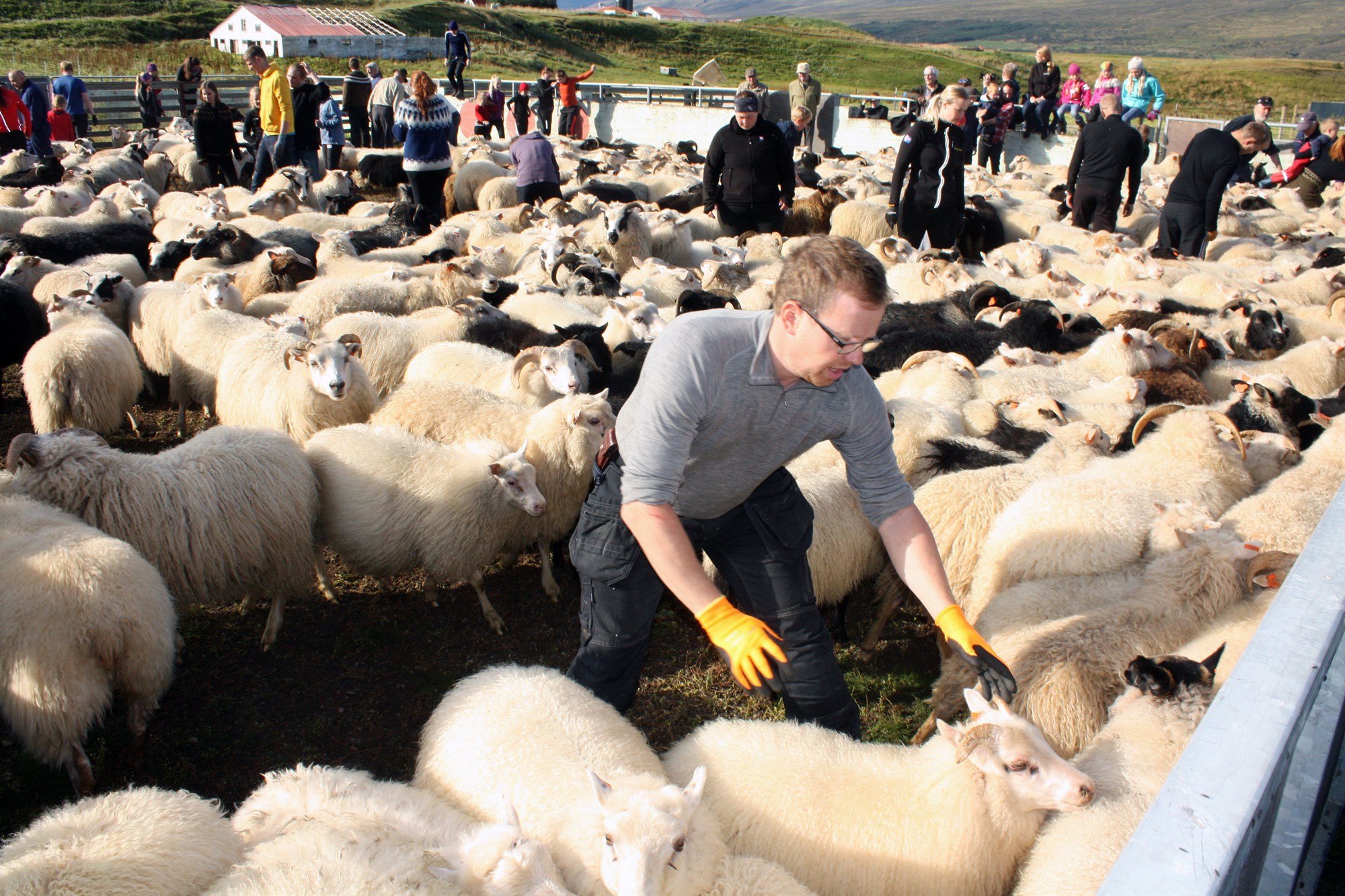 Skilaboð út á markaðinn um hækkun á lambakjöti