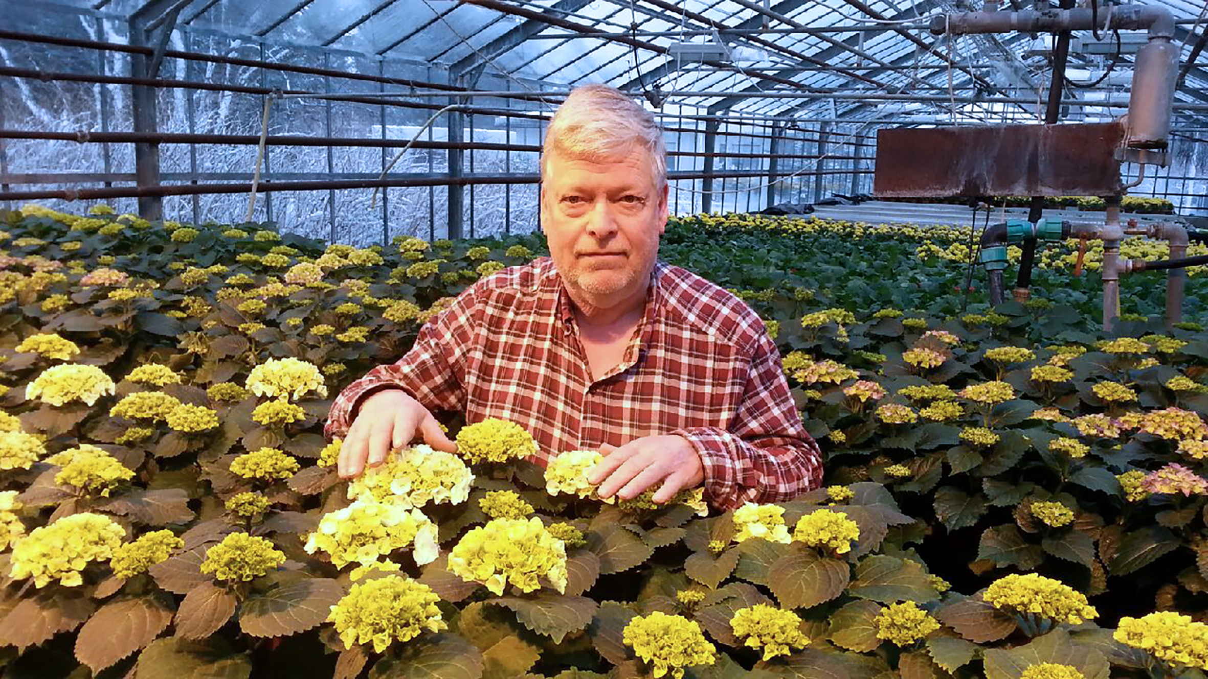 Það er galdur í græna litnum