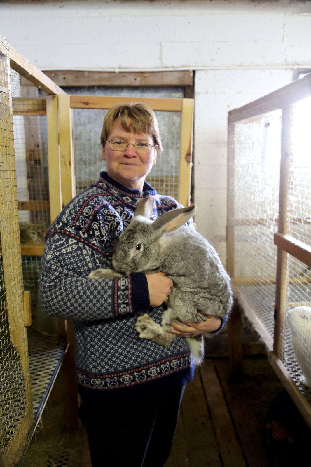 Vorhátíð og opið hús hjá Kanínu ehf. á Syðri-Kárastöðum