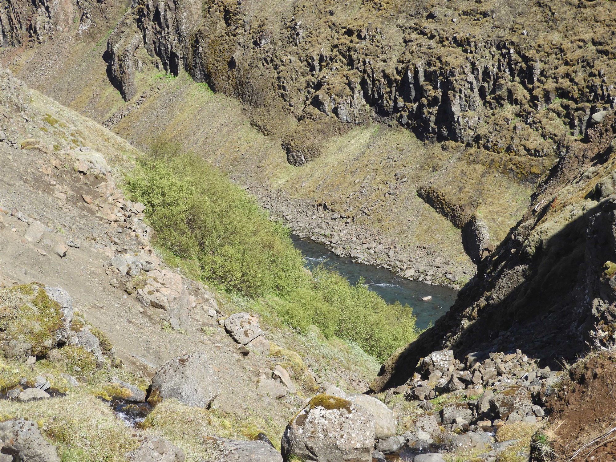 Birkivistkerfi og endurheimt þeirra