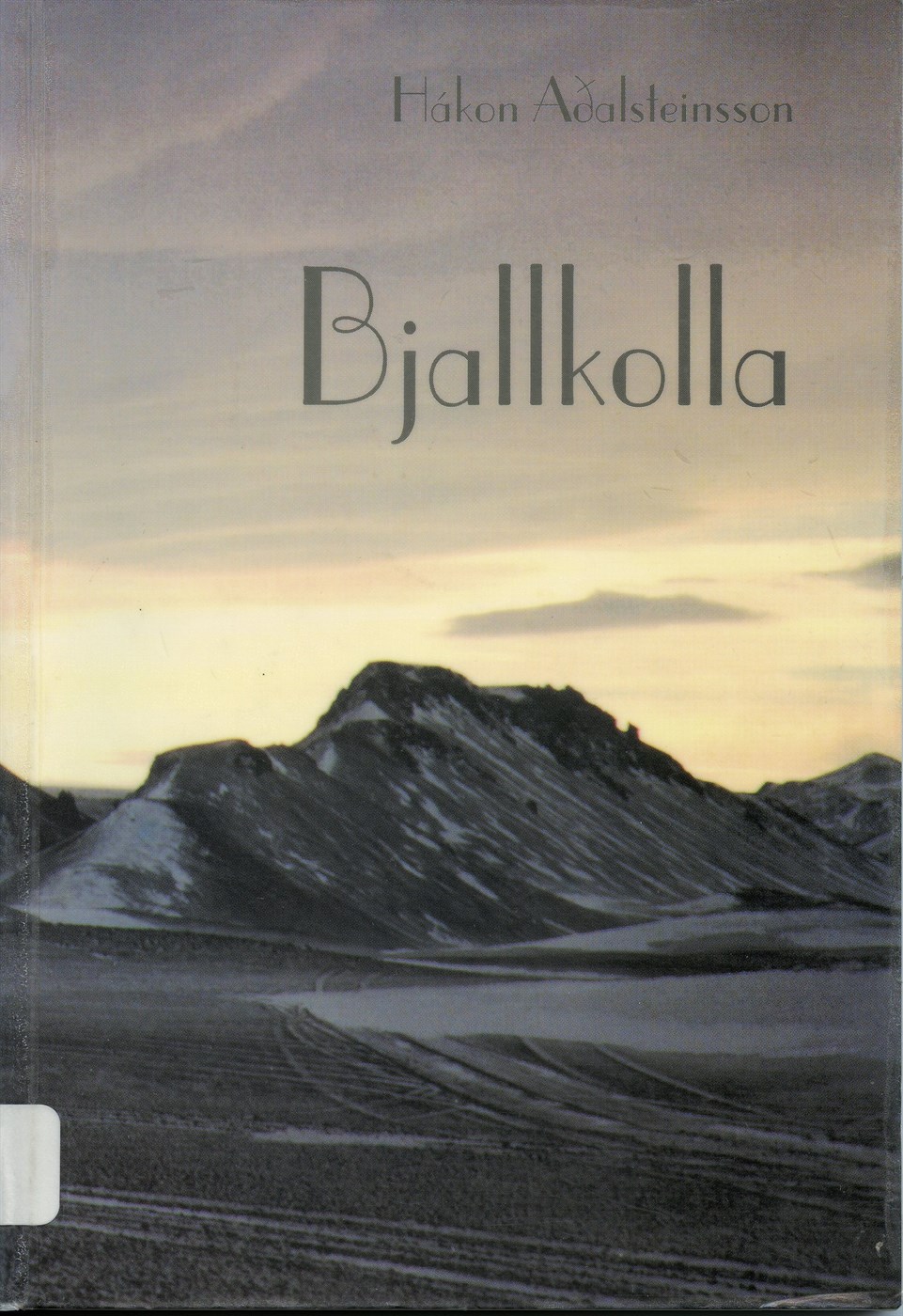 Skáldaraunir Hákonar