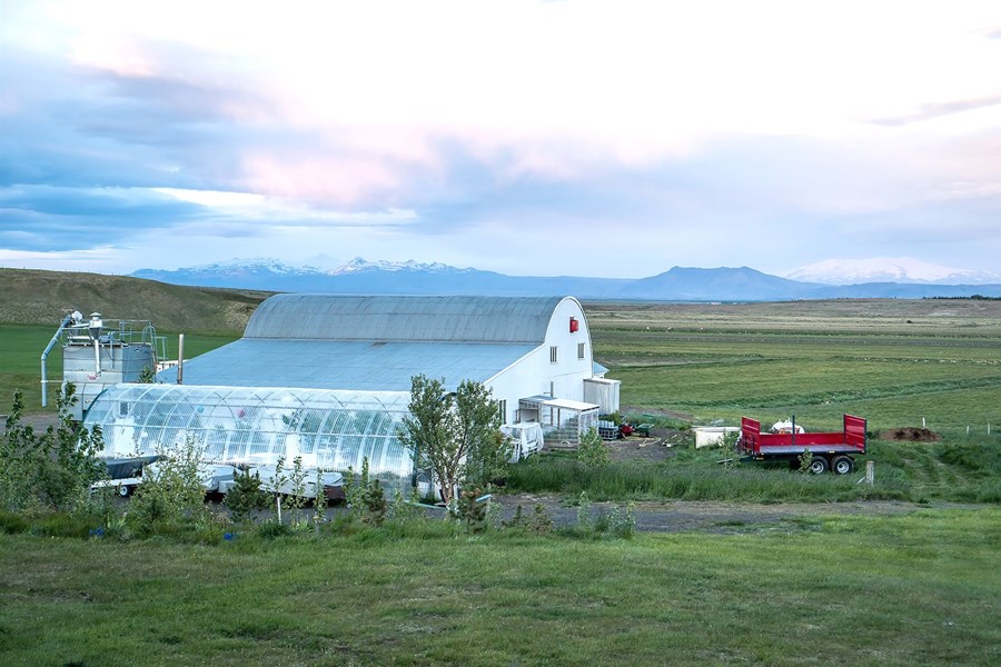 Í Bjálmholti stendur til að stækka aðstöðuna til muna og reisa eimingarverksmiðju og möltunarverksmiðju. 