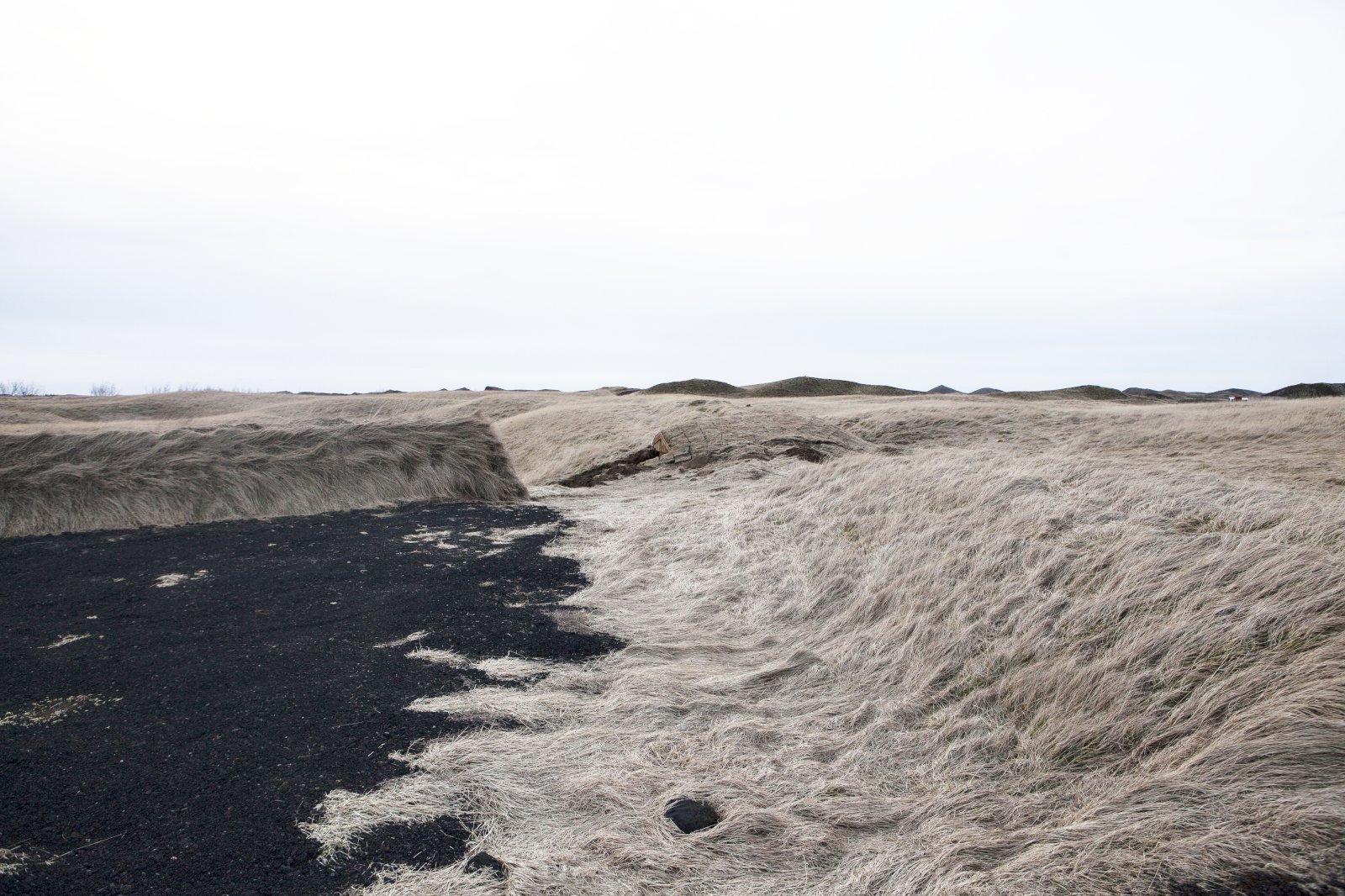 Umsóknarfrestur um styrki til varna gegn landbroti framlengdur