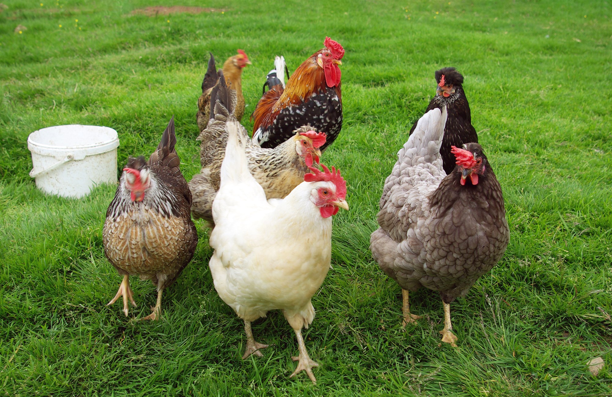 Persónur og leikendur