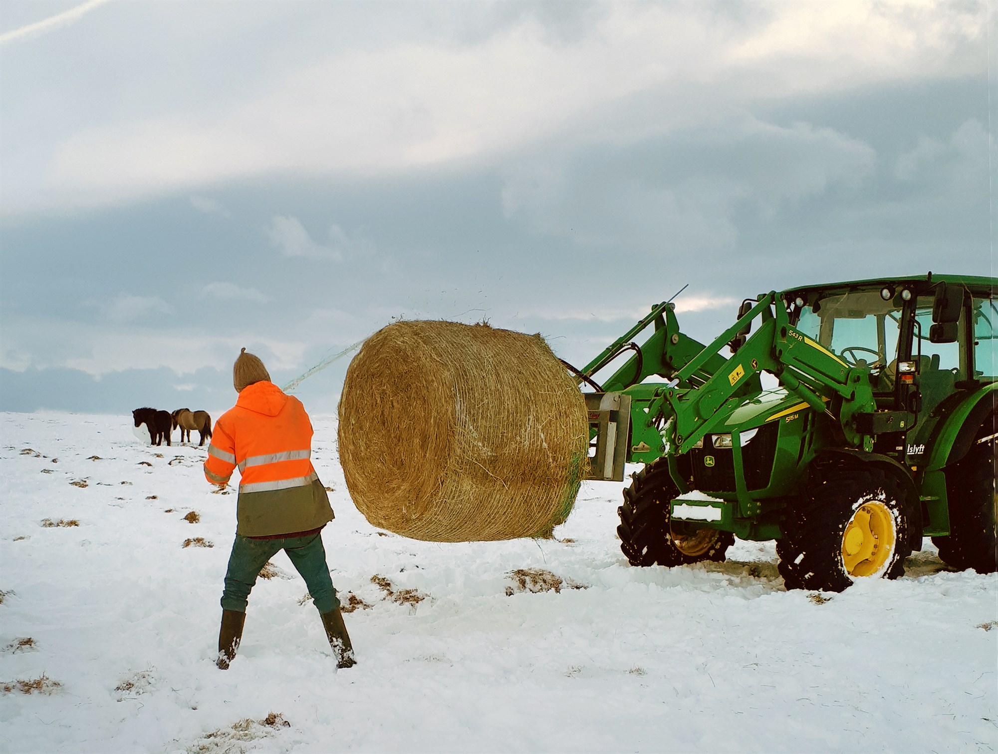 Framleiðslukostnaður og verðmæti blóðs