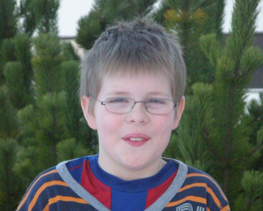 Uppáhaldsdýrið er dverghamstur