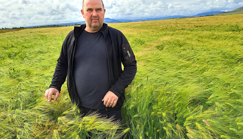 Kornræktarfélag gengur í endurnýjun lífdaga