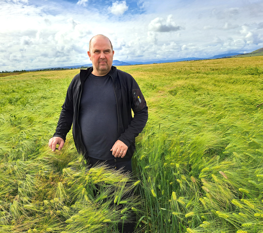 Björgvin Þór Harðarson, svína- og kornbóndi, er formaður undirbúningsnefndar fyrir stofnun kornsamlags á Suðurlandi.