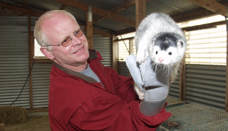 Danskir fjárfestar sýna Íslandi áhuga